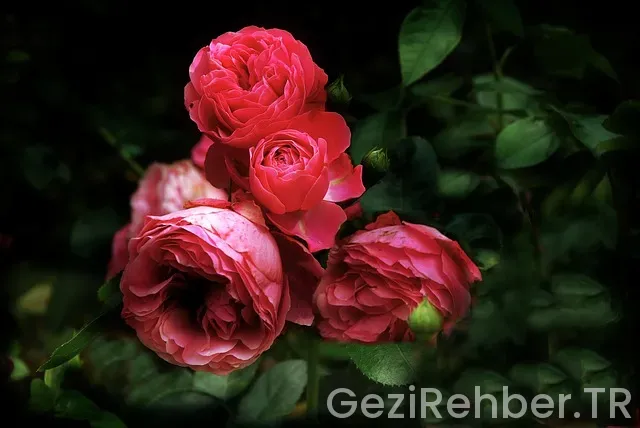 İstanbul da Nerede Kalınır?