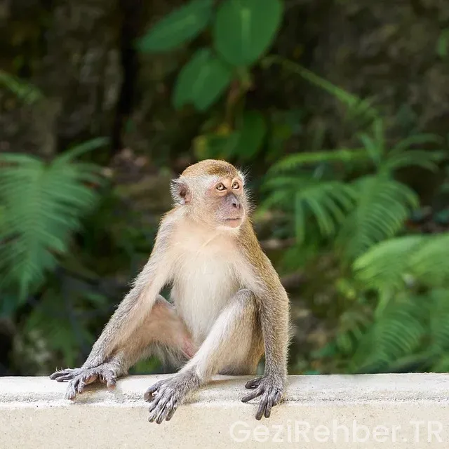 İstanbul Gezi Önerileri İstanbul Gezi Önerileri
