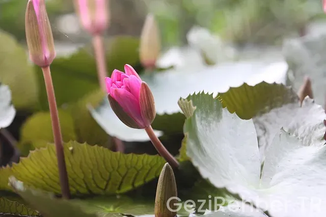 İstanbul Havalimanı’na Havaist İle Nasıl Gidilir? İstanbul Havalimanı’na Havaist İle Nasıl Gidilir?