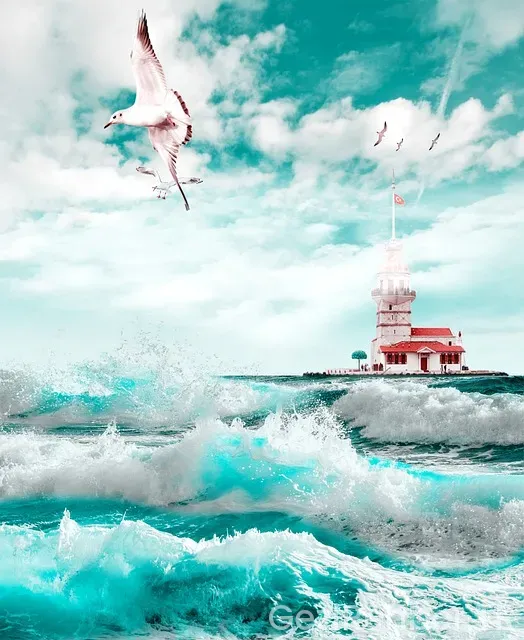 İstanbul Havalimanı’na Otobüsle Nasıl Gidilir?