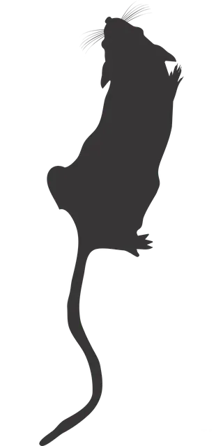 İstanbul Havalimanına Toplu Taşıma İle Nasıl Gidilir?