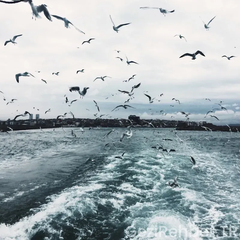 İstanbul karadeniz gezilecek yerler