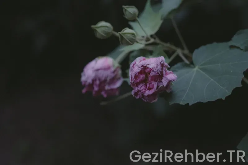 İstanbul Namaz Vakitleri