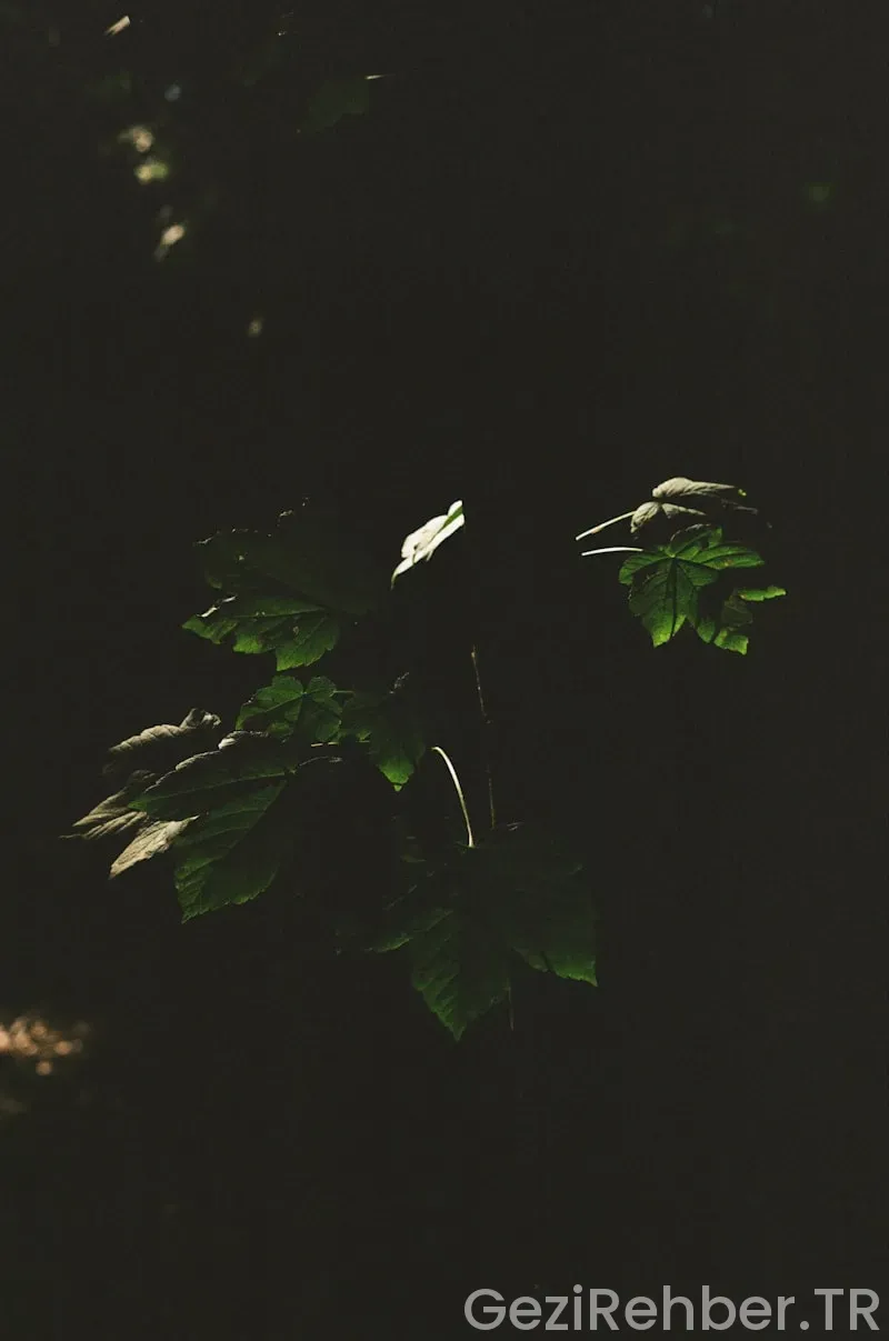 İstanbul Namaz Vakitleri