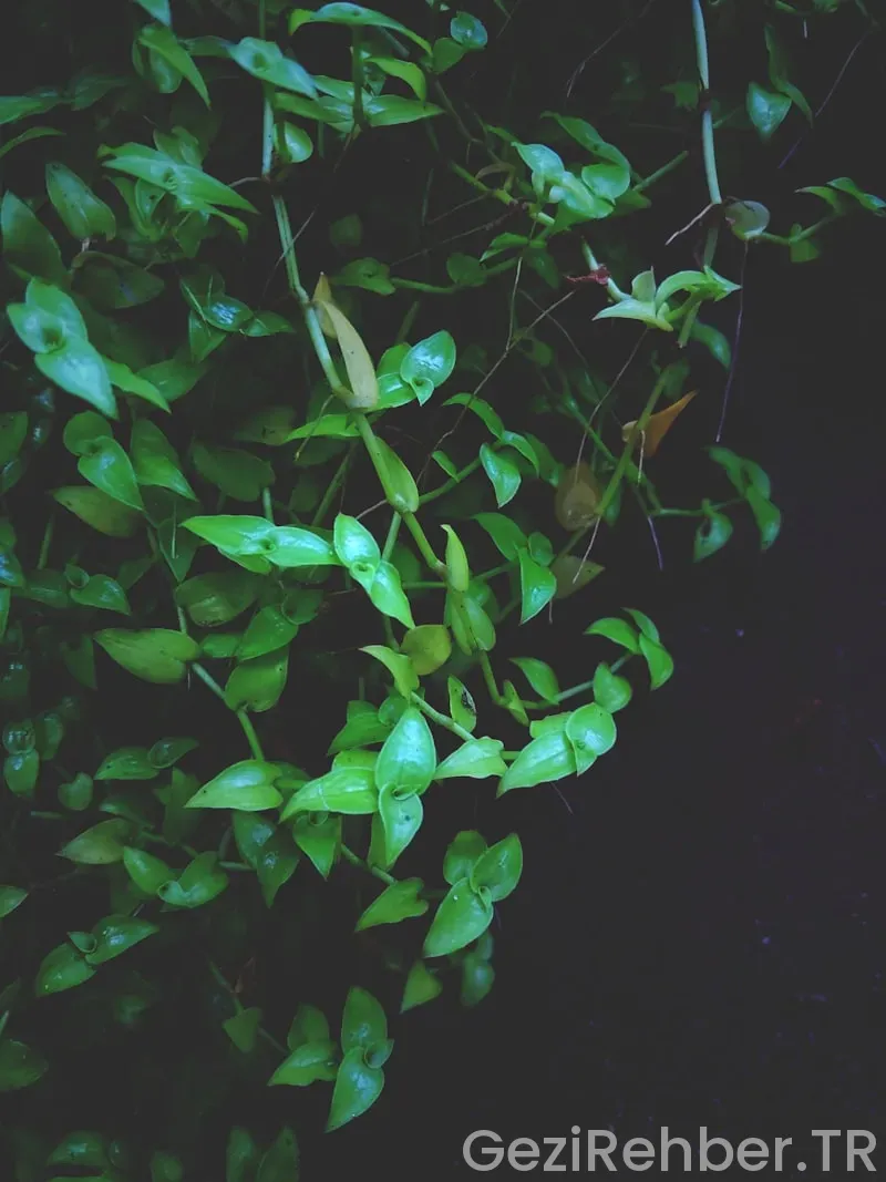 İstanbul Namaz Vakitleri