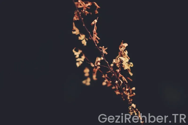 İstanbul Namaz Vakitleri