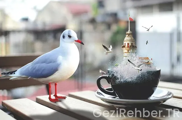 İstanbul Özbekistan Uçakla Kaç Saat