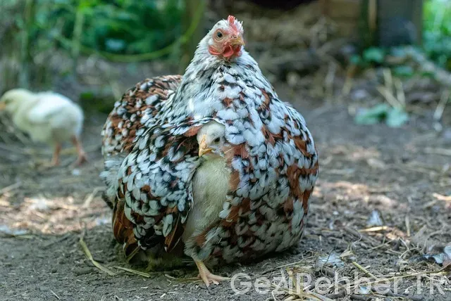 İstanbul Pekin Uçakla Kaç Saat