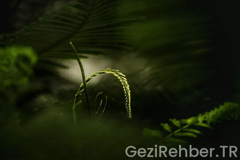 İstanbul’a Yakın Gezilecek Yerler