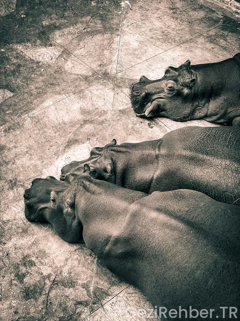 İstanbul’un Popüler Ayaküstü Lezzetleri İstanbul’un Popüler Ayaküstü Lezzetleri