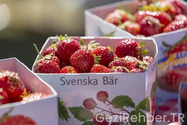 İsveç Gezi Rehberi