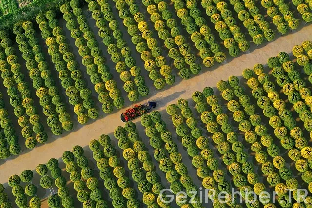 İzmir ığdır uçakla kaç saat