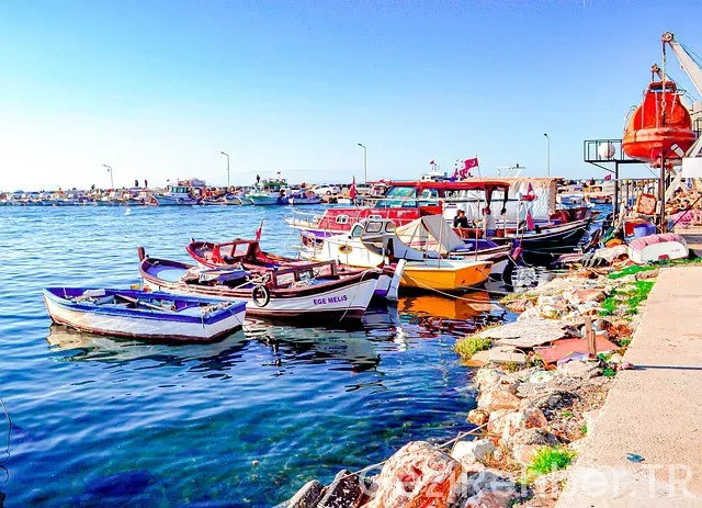 İzmir Ücretsiz Gezi Turları