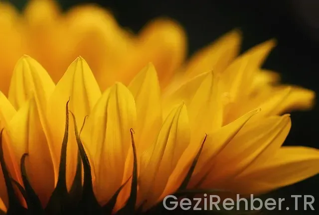 İzmir'de nerede kalınır