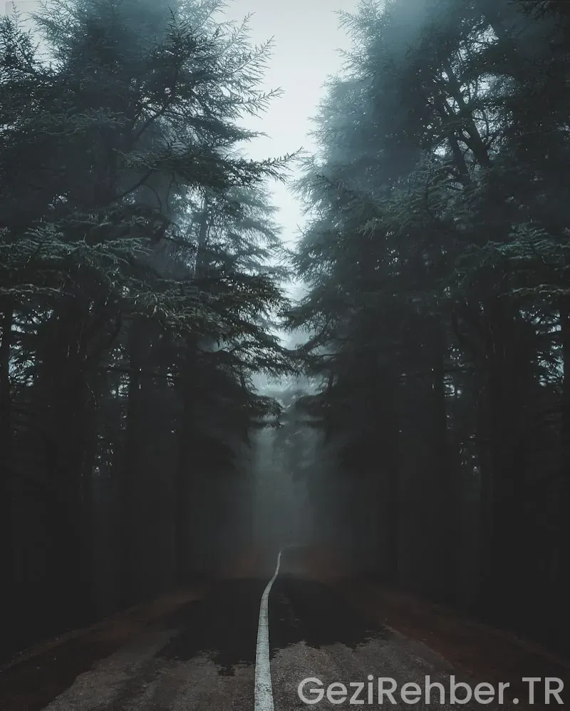 İzmit’te Gezilecek Yerler