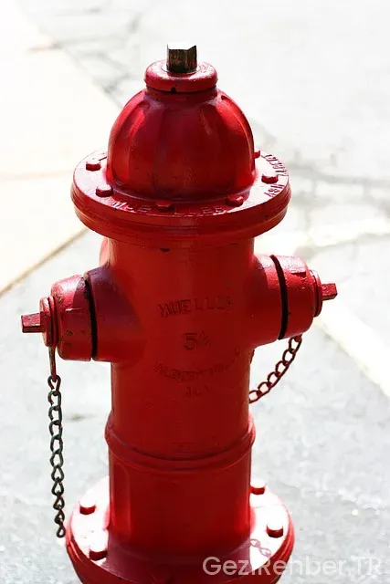 Japonya amerika uçakla kaç saat