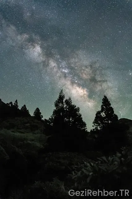 Japonya gezi notları