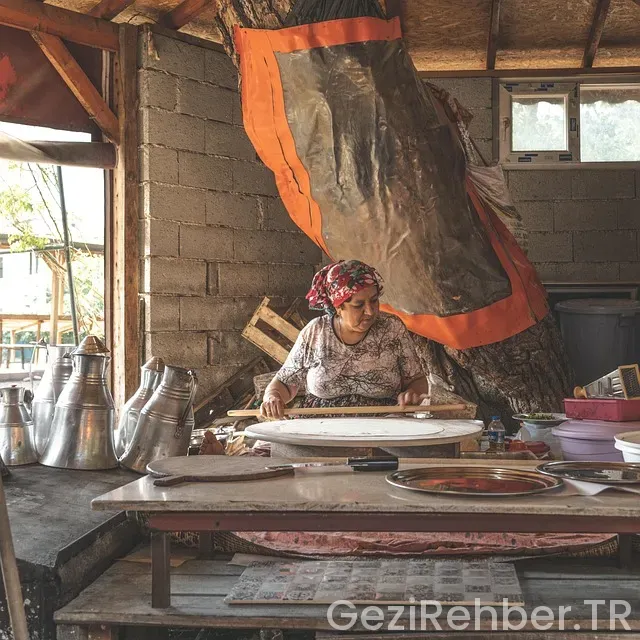 Japonya Gezi Önerileri