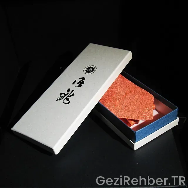 Japonya Türkiye Uçakla Kaç Saat