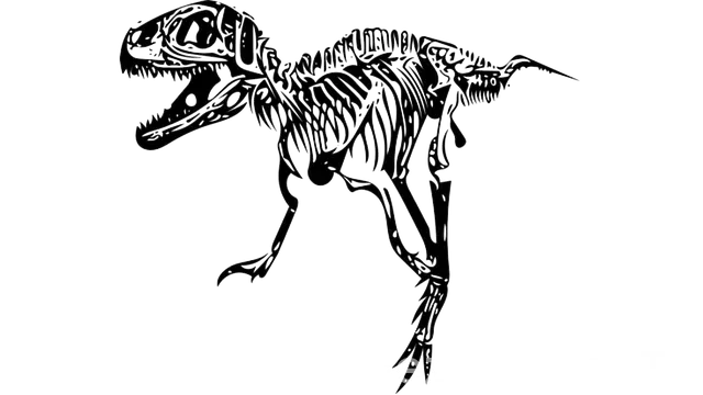 Japonya uçakla kaç saat türkiye