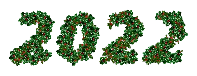 Jolly tur şirket bilgileri Jolly tur şirket bilgileri