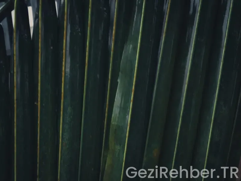 Kahramanmaraş’ta Gezilecek Yerler