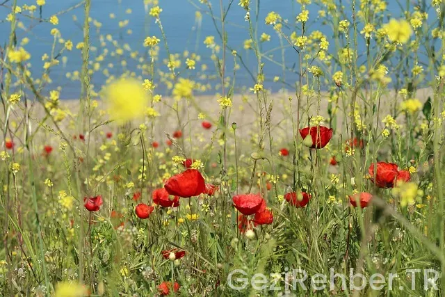 Kamp yerleri bursa yakınında
