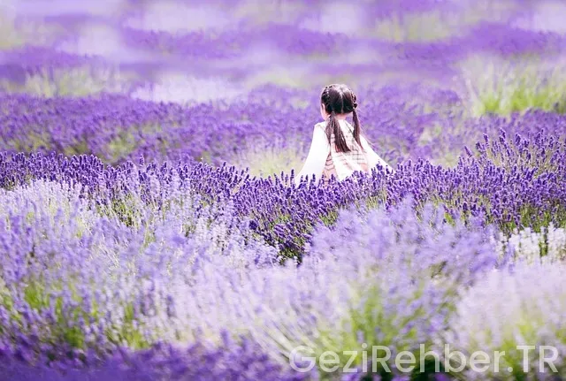 Kanada Turistik Gezi