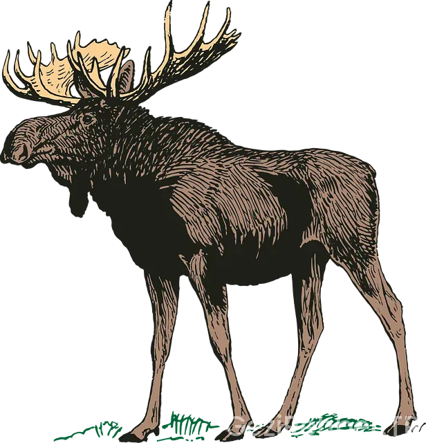 Kanada Turistik Gezi