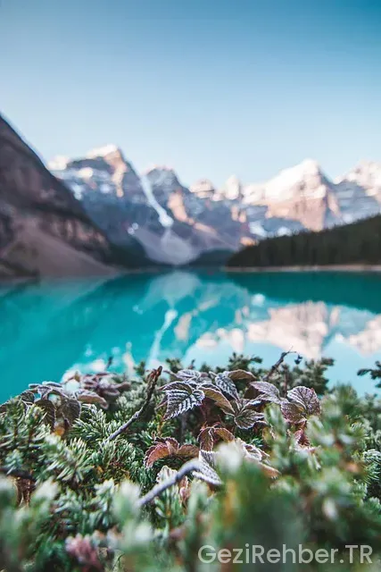 Kanada'ya Gezi Turları