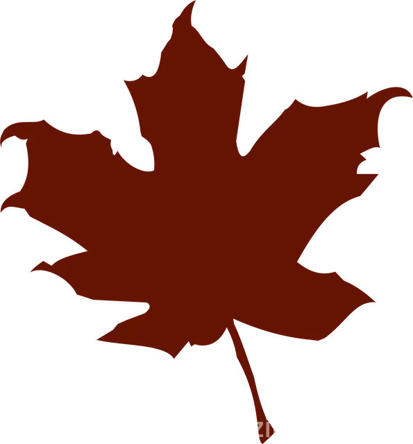 Kanada'ya Gezi Turları