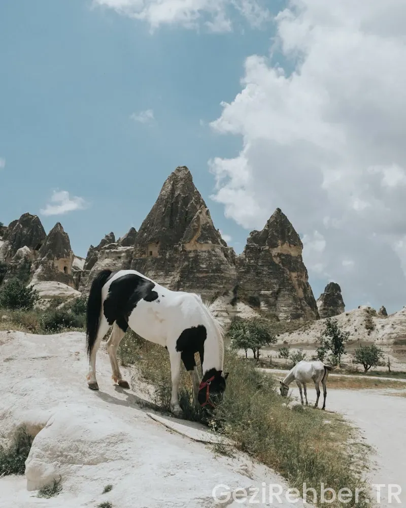 Kapadokya Gezi Rehberi Pdf