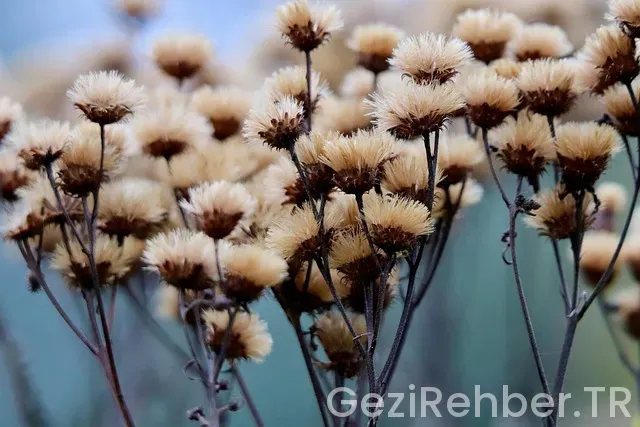 Karadağ Gezilecek Yerler