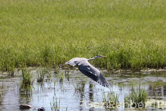 Karadeniz çadır kamp yerleri ve fiyatları