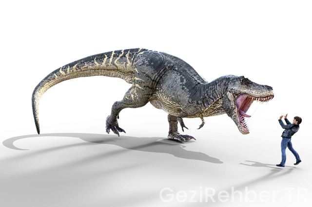 Karadeniz Turu Yaylalar Turu