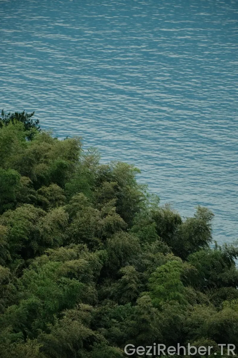 Karadeniz’in En Yeşil Köşeleri