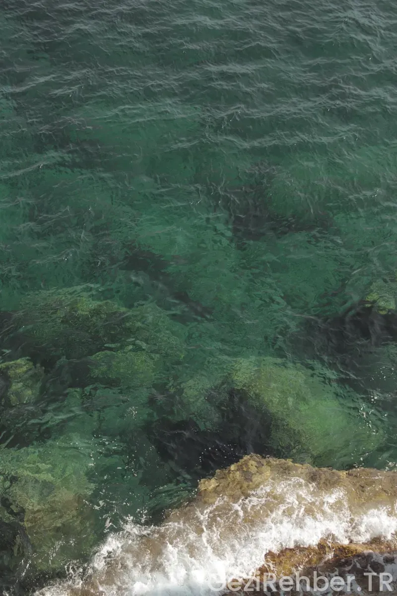 Karadeniz’in En Yeşil Köşeleri