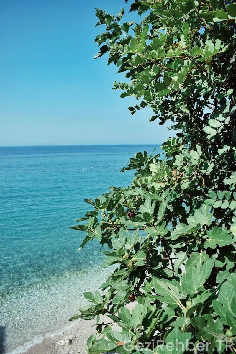 Karadeniz’in En Yeşil Köşeleri