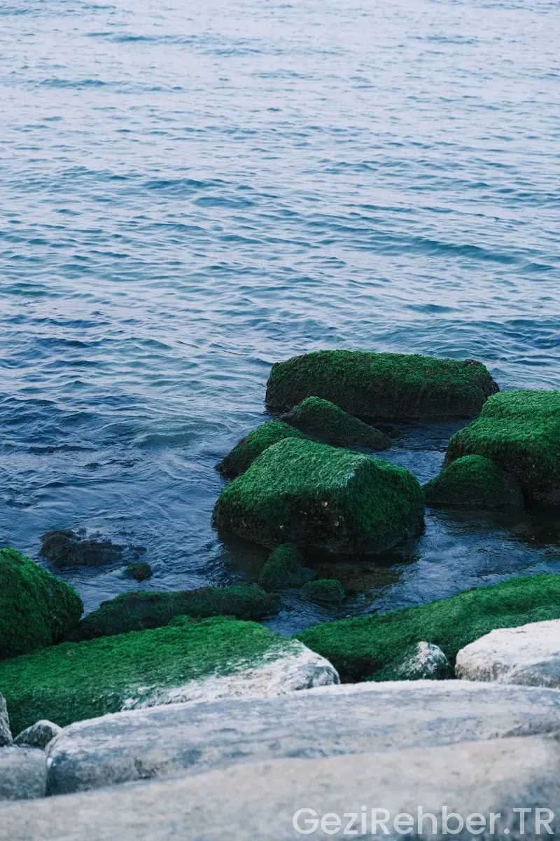 Karadeniz’in En Yeşil Köşeleri