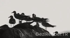 Kaş’ta Gezilecek Yerler