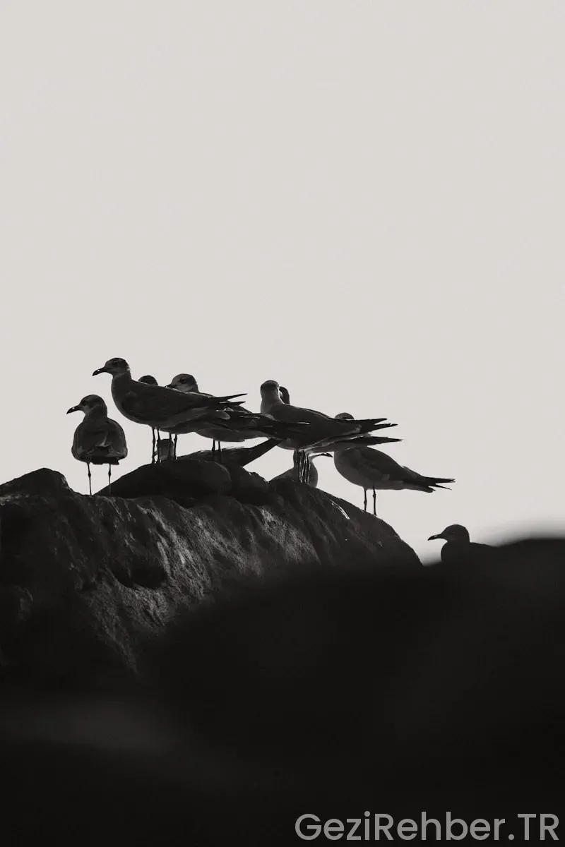 Kaş’ta Gezilecek Yerler