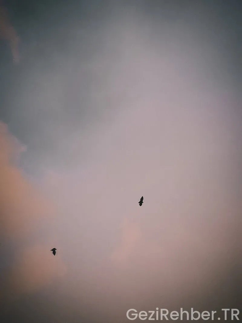 Kaş’ta Gezilecek Yerler