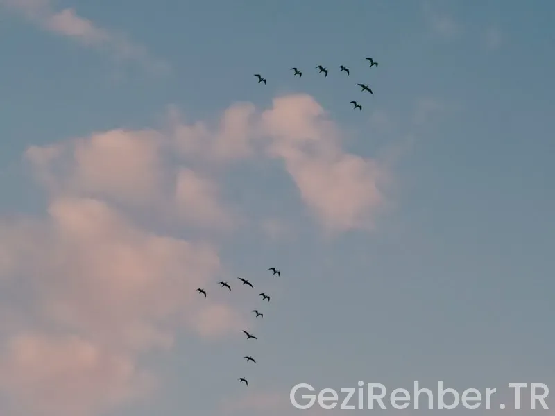 Kaş’ta Gezilecek Yerler