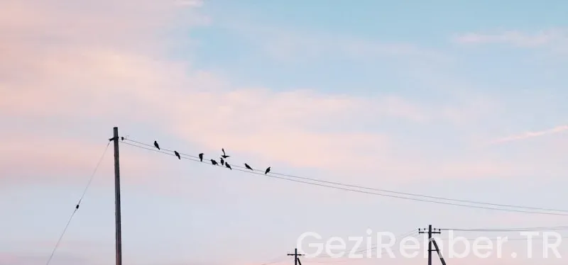 Kaş’ta Gezilecek Yerler