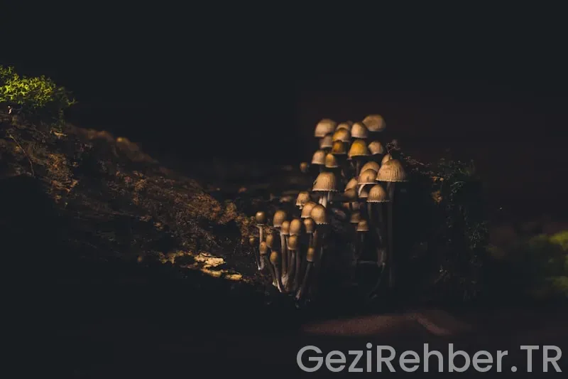 Kemer’de Gezilecek Yerler