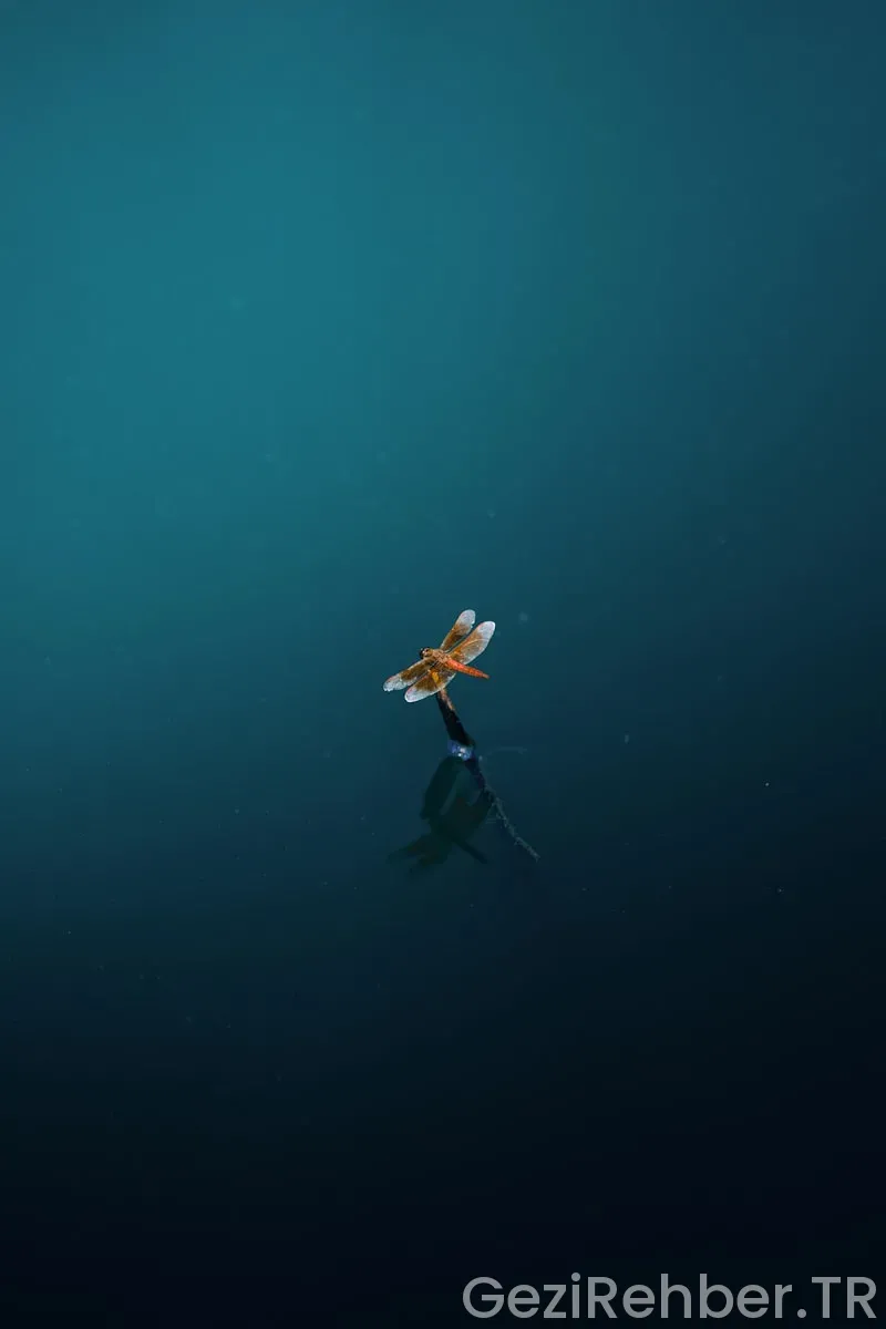 Keşfedilmeyi Bekleyen En Güzel Doğa Köyleri