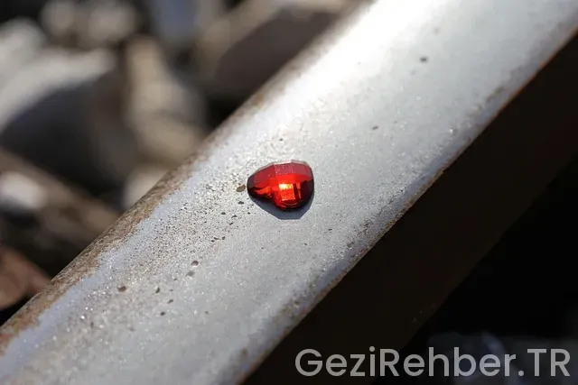 Keşfete nasıl çıkılır