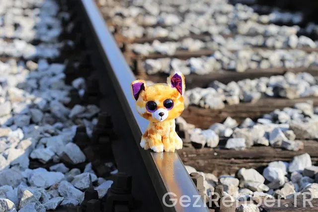 Keşfete nasıl çıkılır