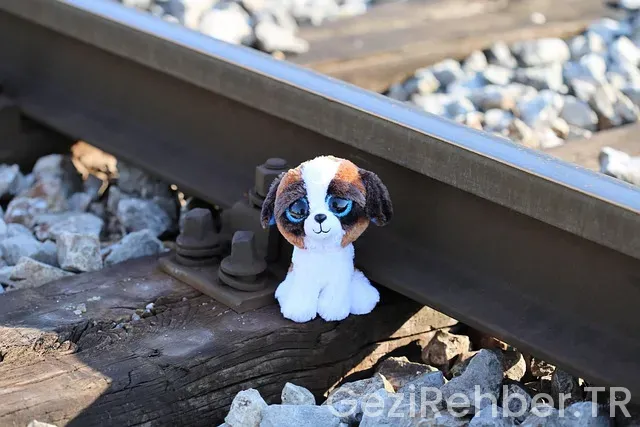 Keşfete nasıl çıkılır