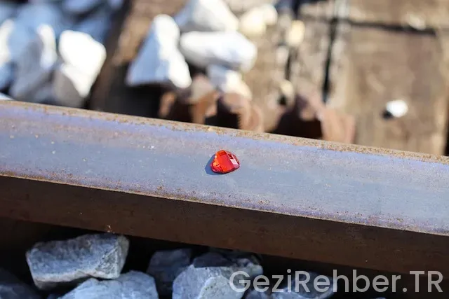 Keşfete nasıl çıkılır